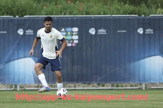 开云体育官网app下载-德甲历史上从未降级的球队介绍