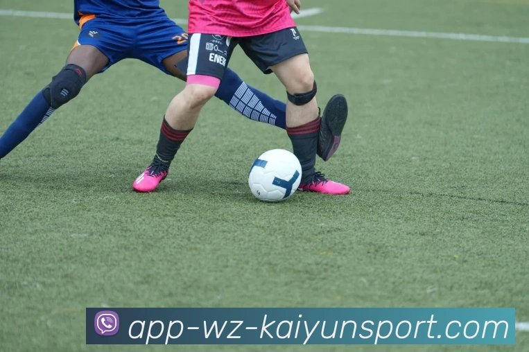 开云APP品牌故事