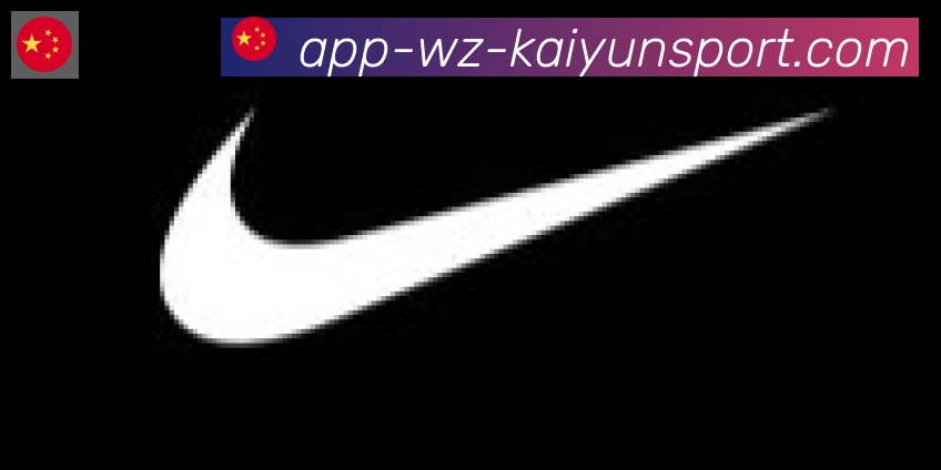 开云APP合作伙伴