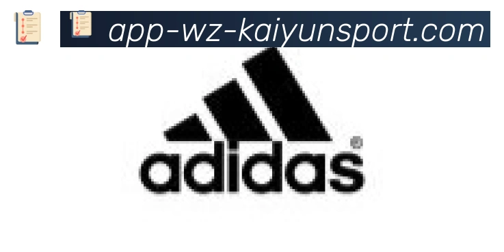 开云APP合作伙伴